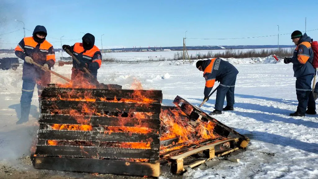 Фото: Владимир Ганчерко / "Ямал-Медиа"