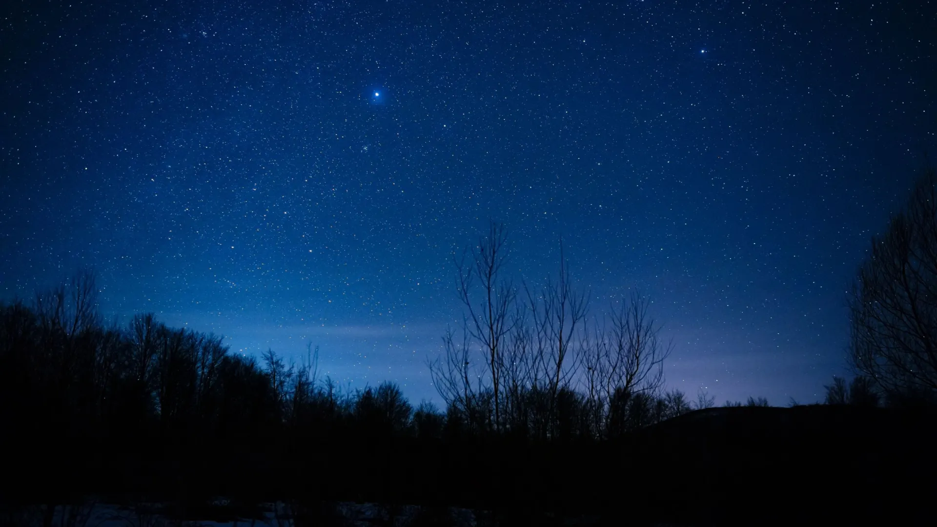 Фото: AstroStar/Shutterstock/Fotodom