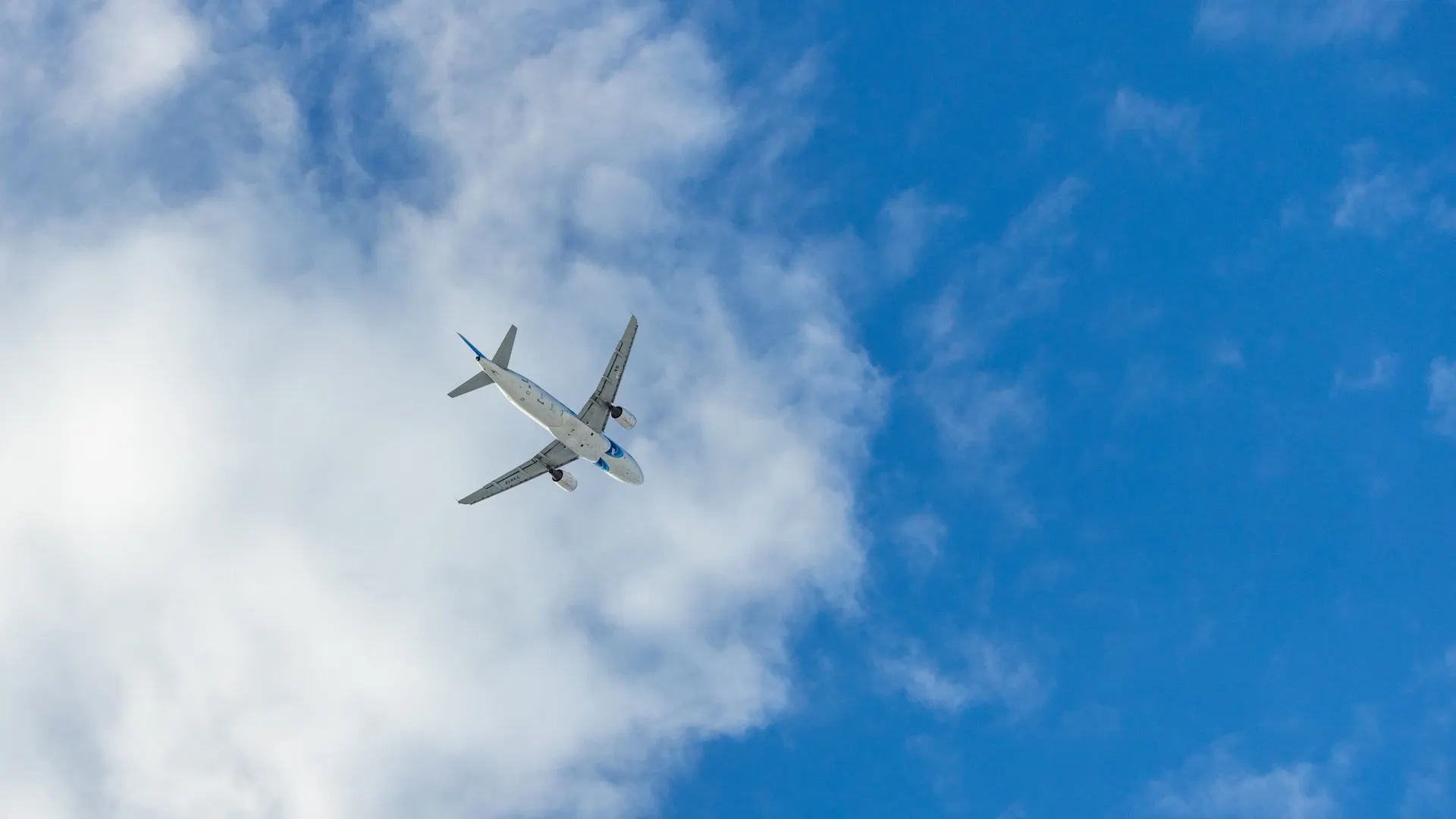 Фото: Федор Воронов / «Ямал-Медиа»