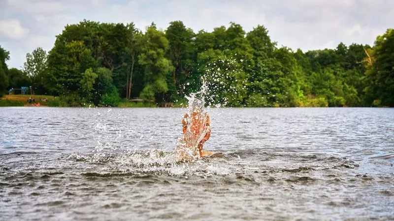 Фото: DR pics / Shutterstock / Fotodom