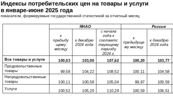 Скриншот доклада о социально-экономическом положении в ЯНАО