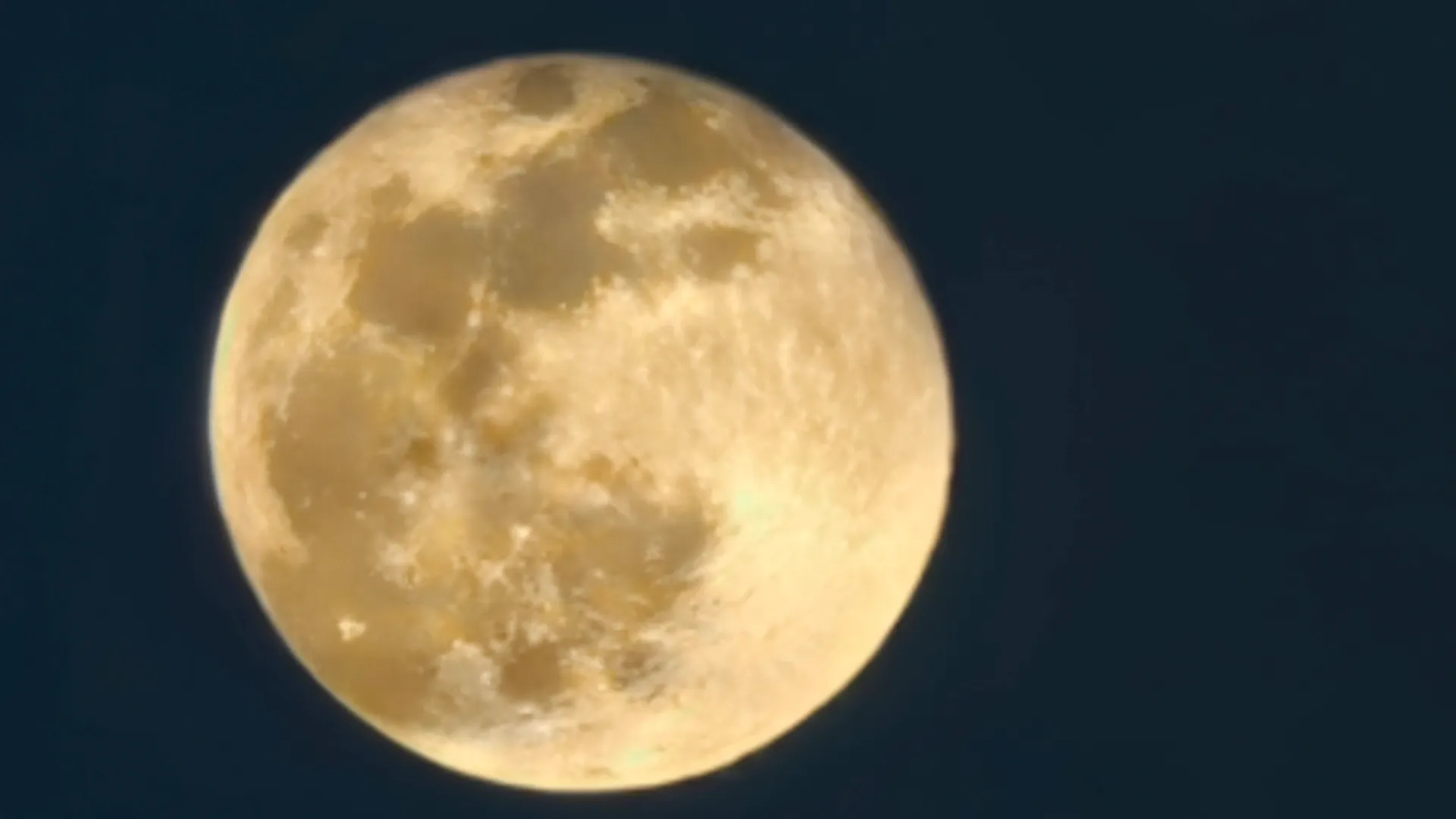 Фото: Андрей Ткачев / «Ямал-Медиа»