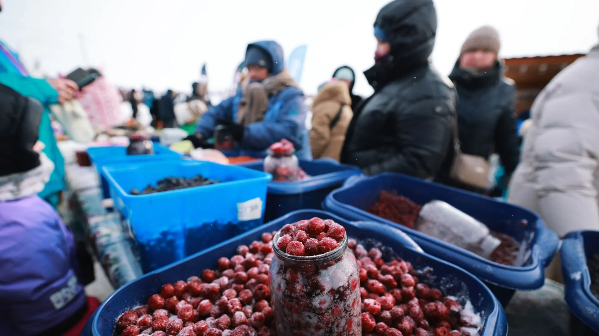 Фото: Юлия Чудинова / «Ямал-Медиа»