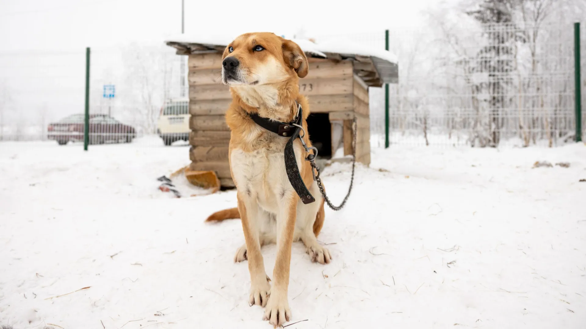 Фото: Федор Воронов / «Ямал-Медиа»