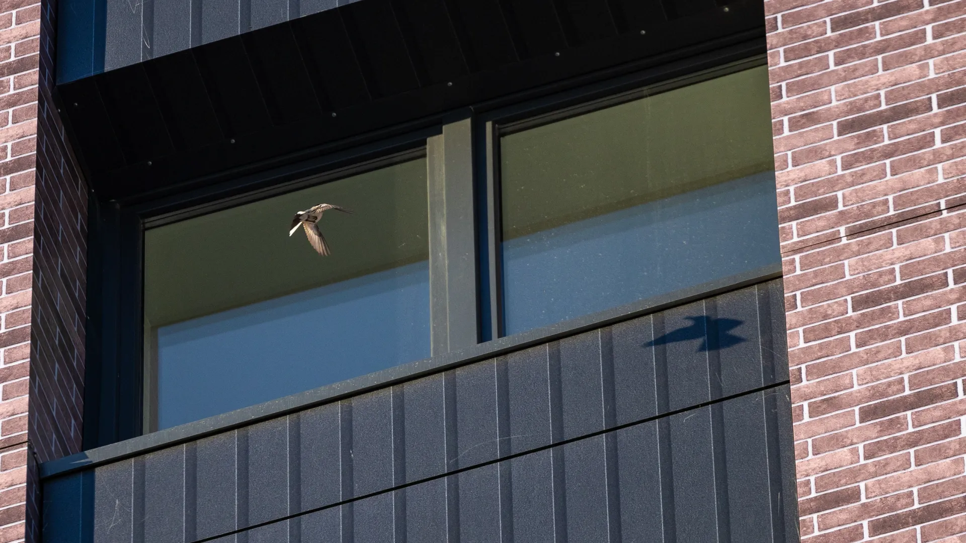 Фото: Федор Воронов / «Ямал-Медиа»