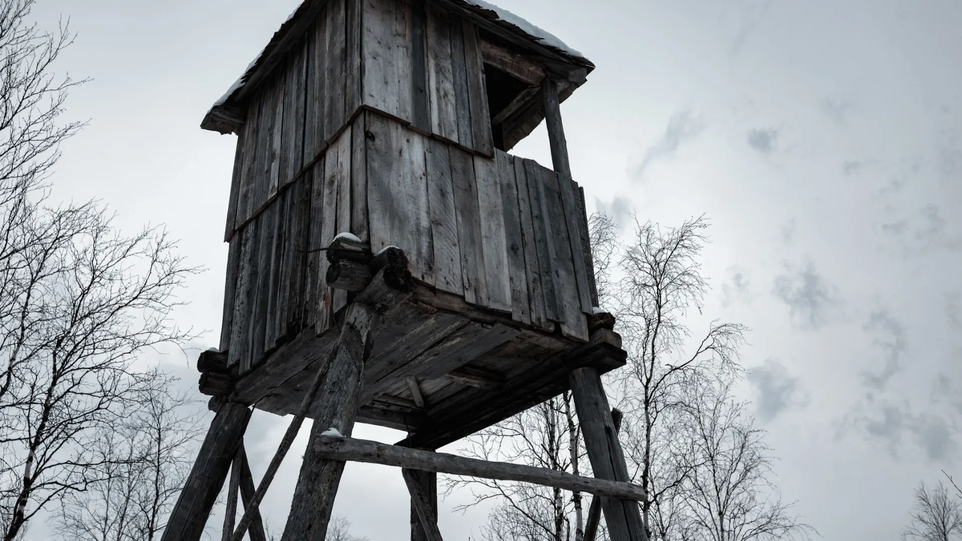 Фото: Сергей Зубков / «Ямал-Медиа»