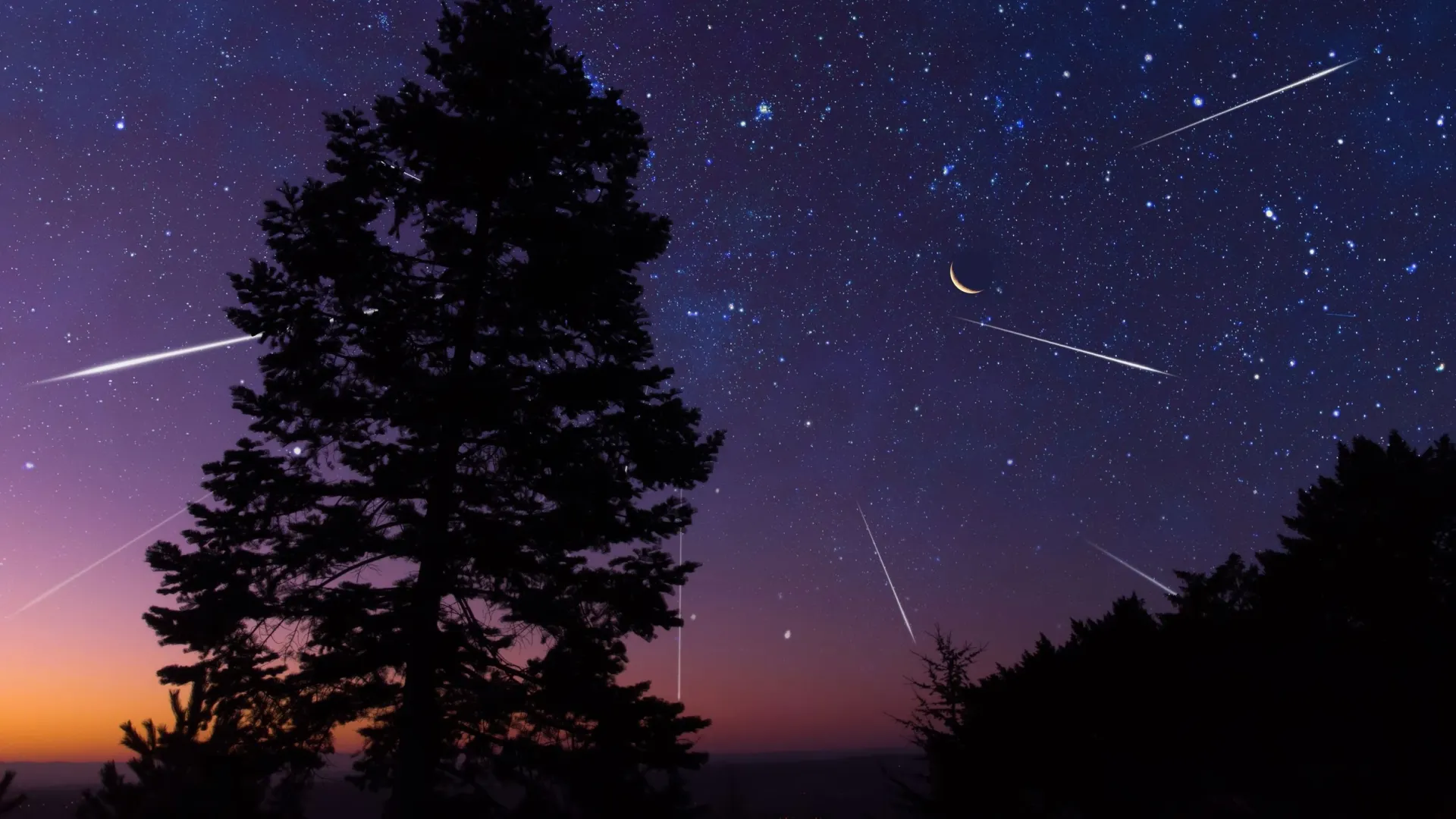 Фото: AstroStar/Shutterstock/Fotodom