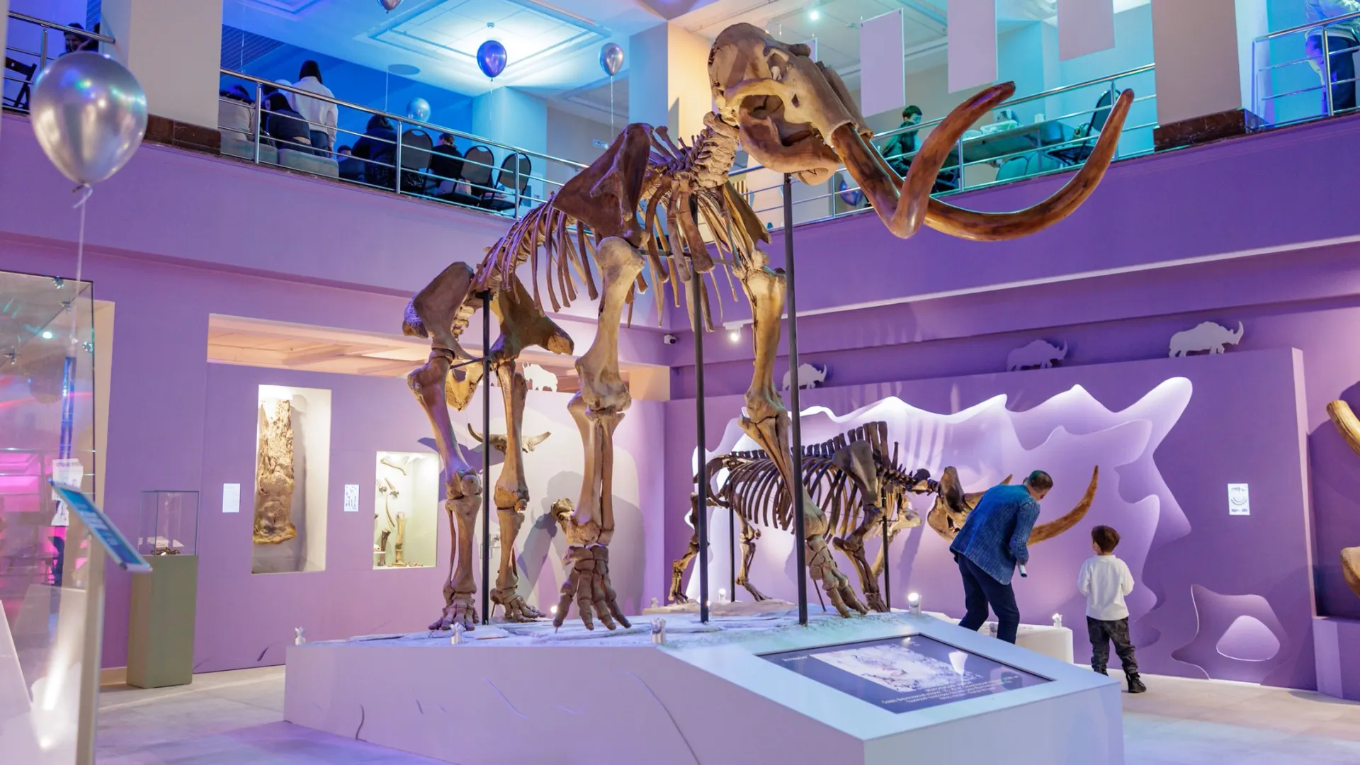 Фото: Сергей Зубков / «Ямал-Медиа»