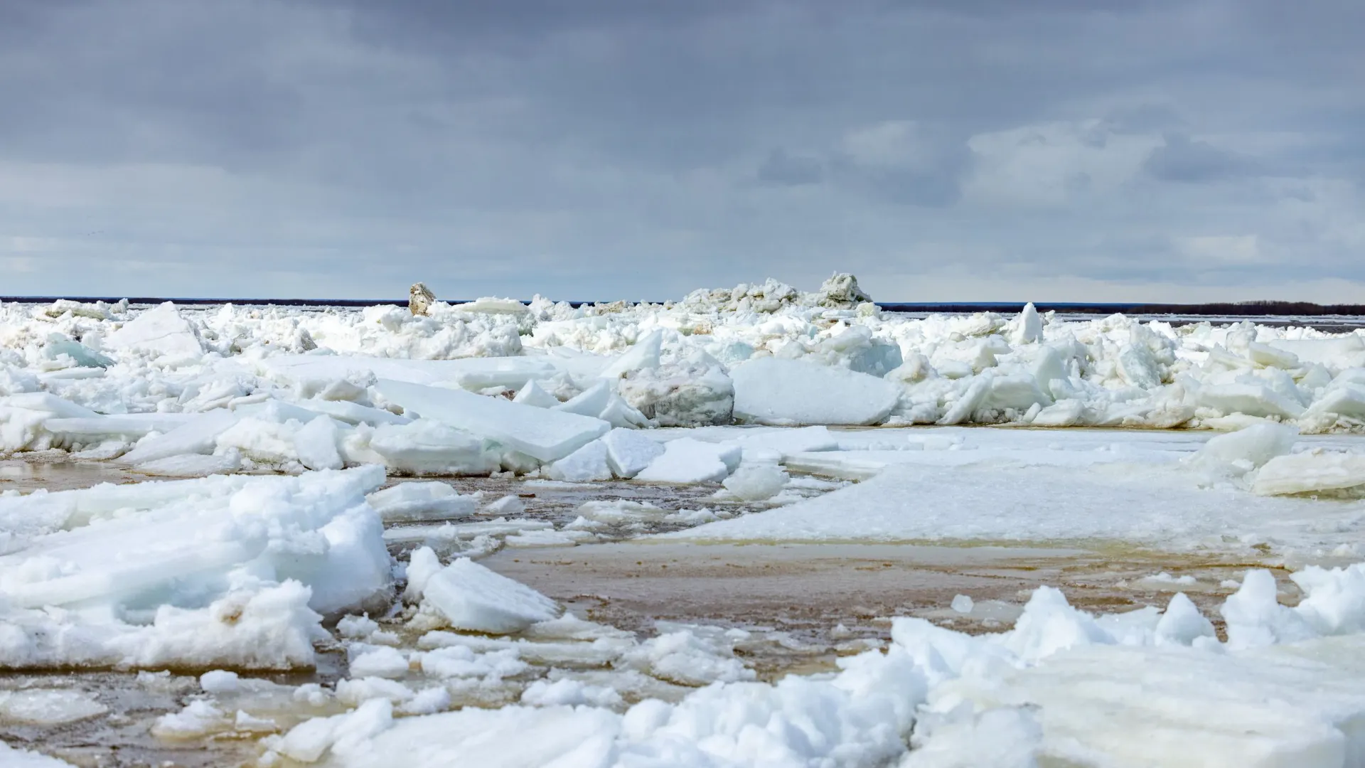 Фото: Федор Воронов / «Ямал-Медиа»
