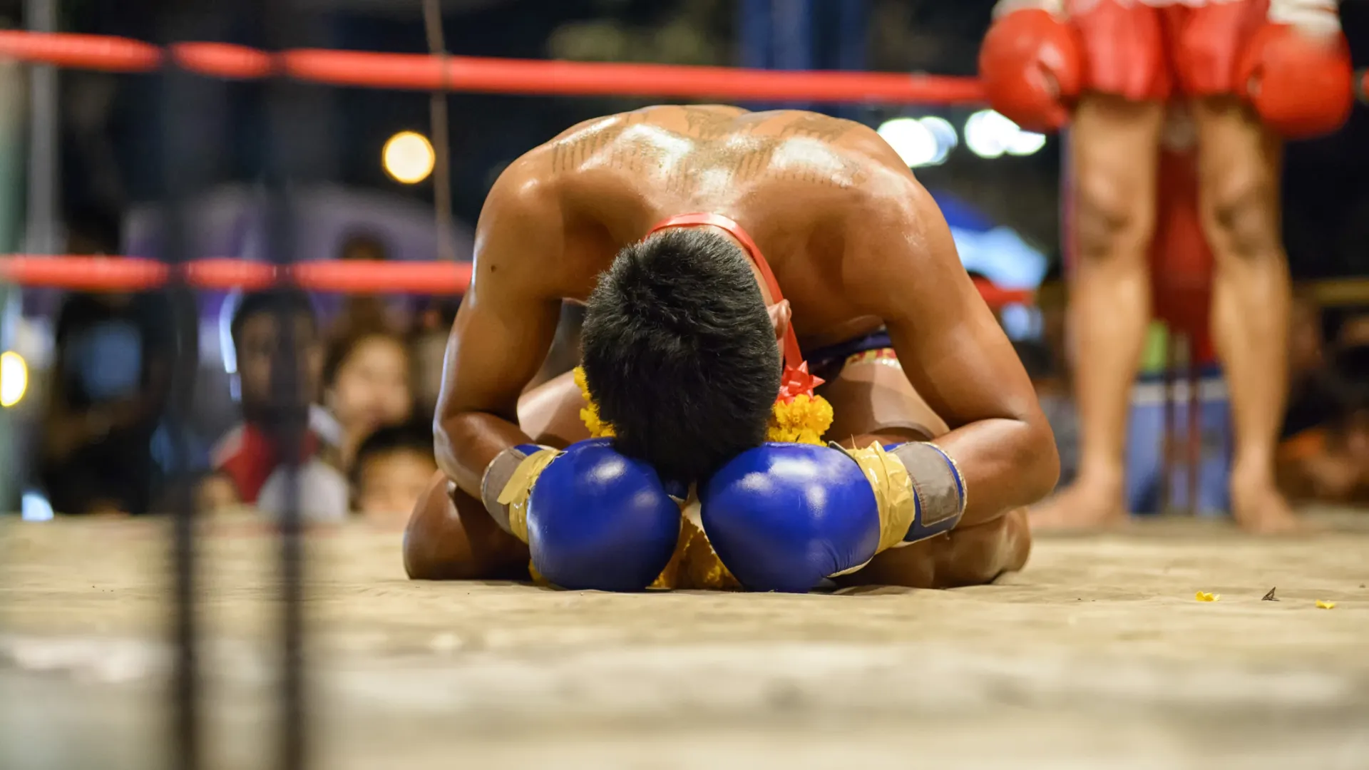 Фото: SIRIWAT SUMANGKA / Shutterstock / Fotodom