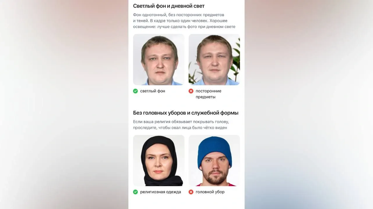 Скрин из мобильного приложения «Госуслуги»