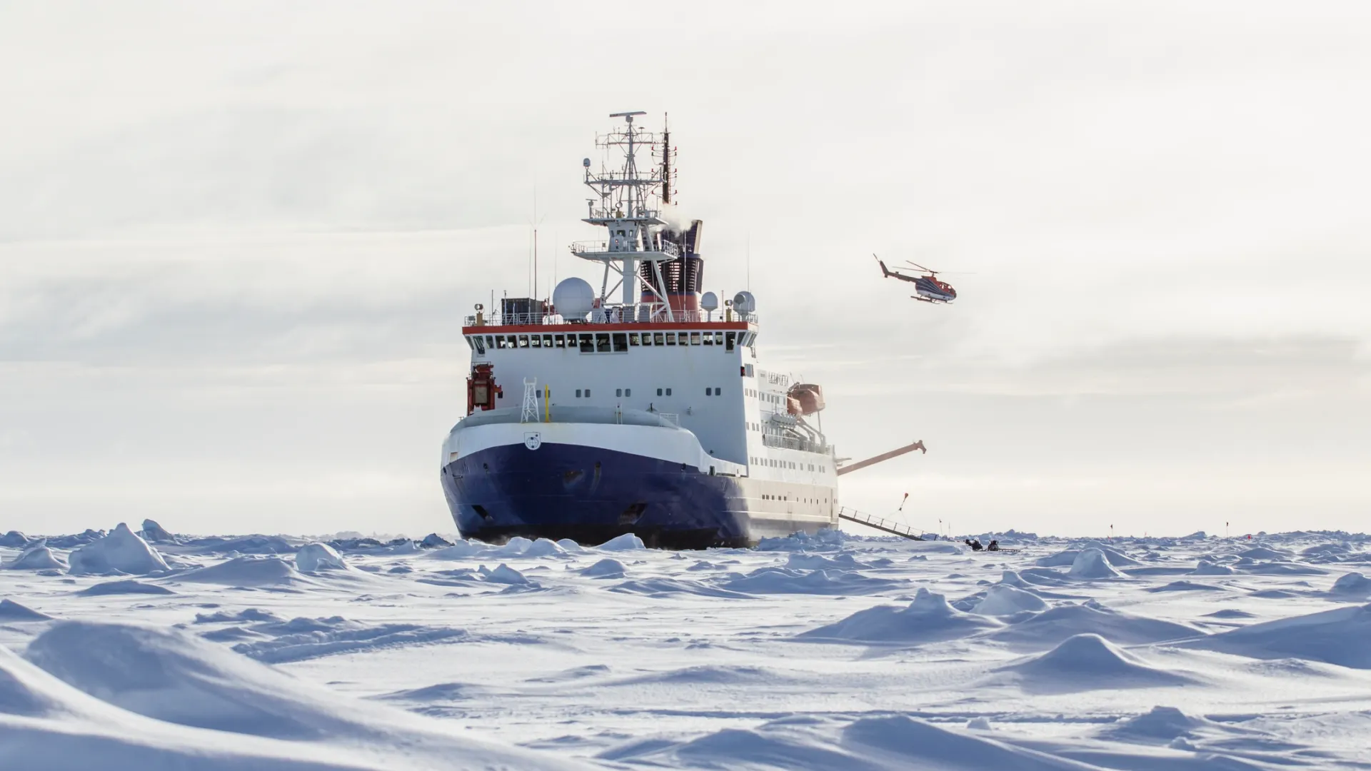 Фото: I. Noyan Yilmaz / Shutterstock / Fotodom