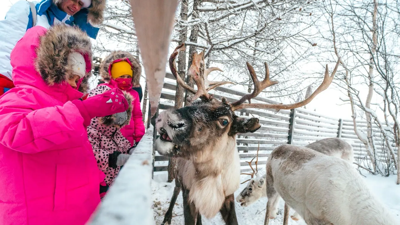 Фото: Юлия Чудинова/«Ямал-Медиа»