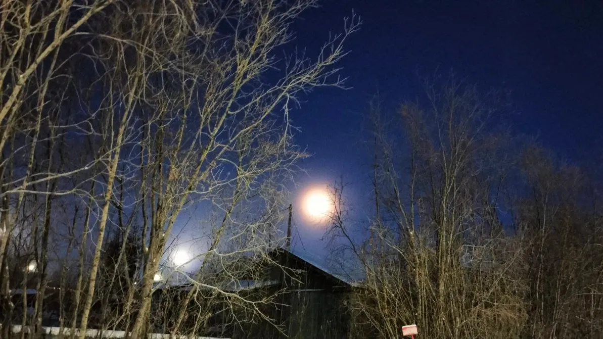 Фото: Владимир Ганчерко / «Ямал-Медиа»