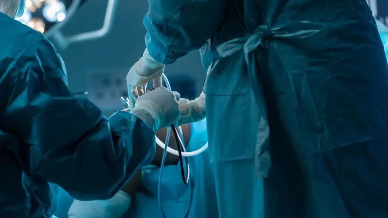 Фото: Ekkasit A Siam / Shutterstock/ Fotodom