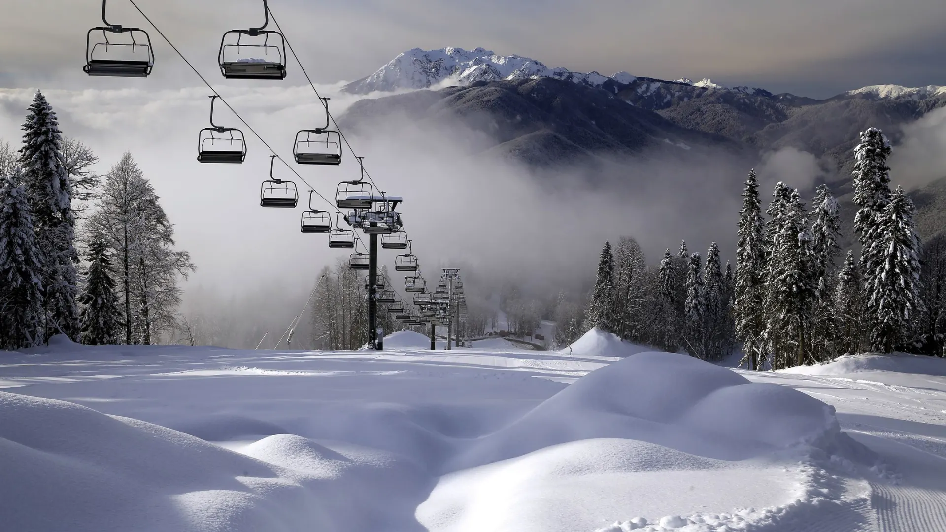 Фото: STPH/Shutterstock/Fotodom