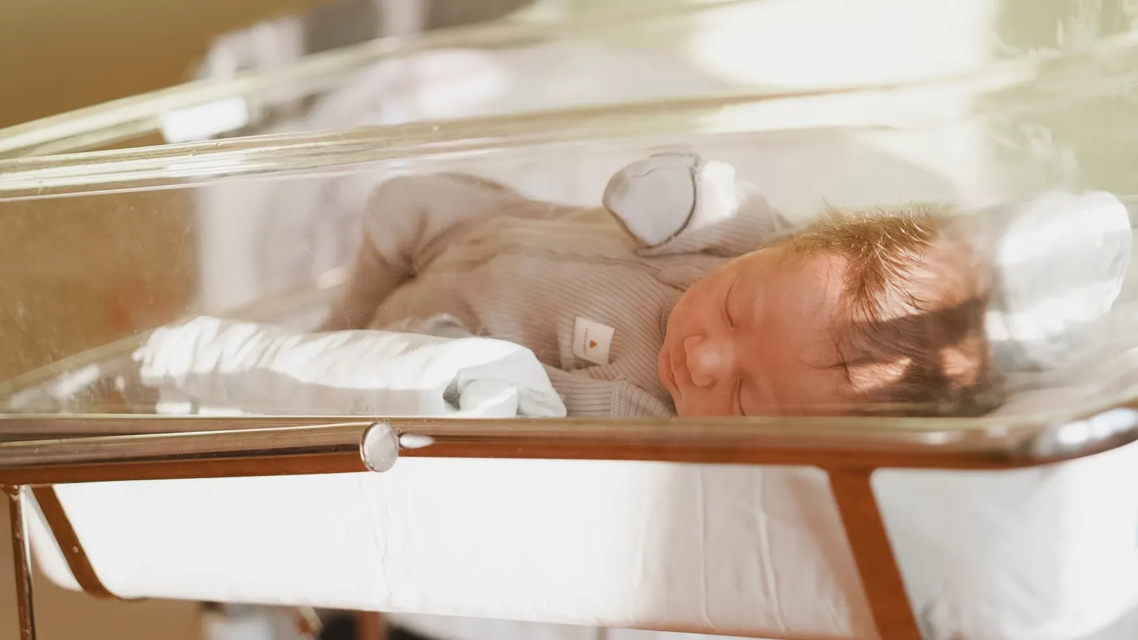 Фото: Юлия Чудинова / «Ямал-Медиа»