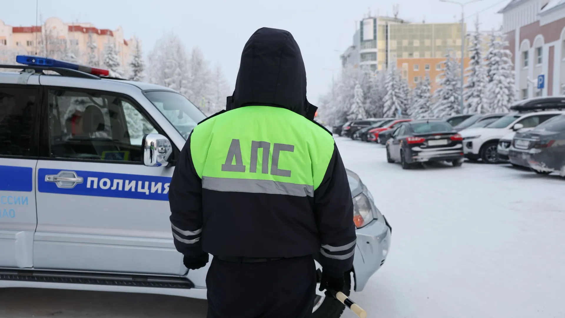 Фото: Андрей Ткачев / «Ямал-Медиа»