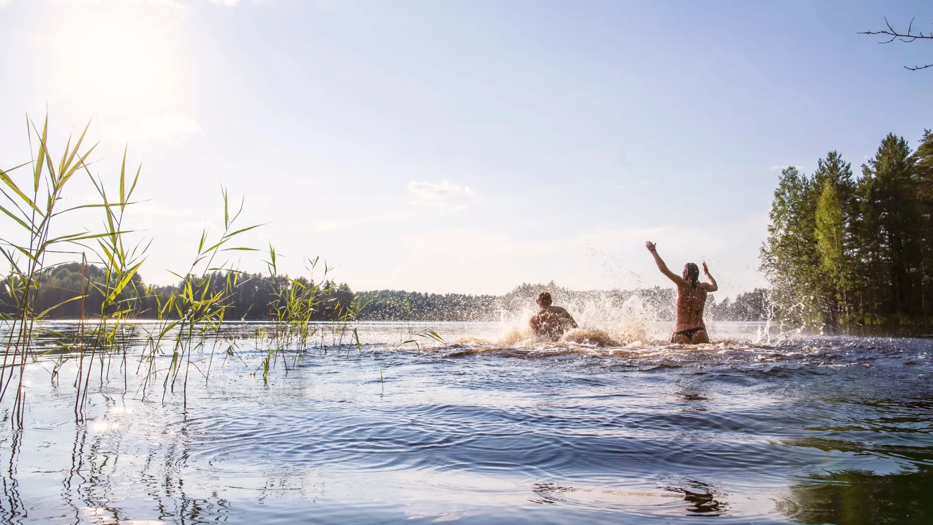 Фото: Koldunov Alexey/Shutterstock/Fotodom