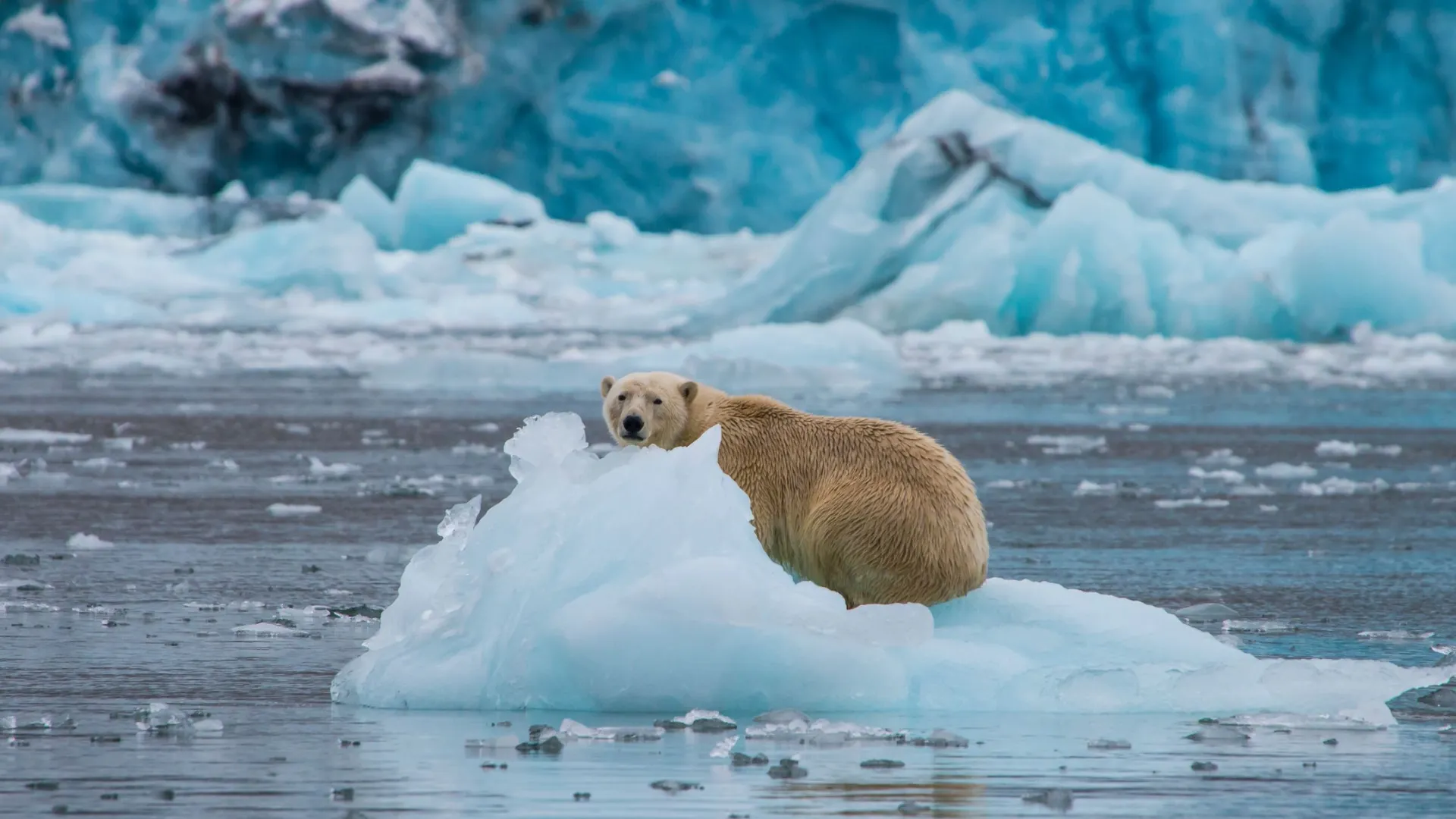Фото: Robert Harding Video/Shutterstock/Fotodom