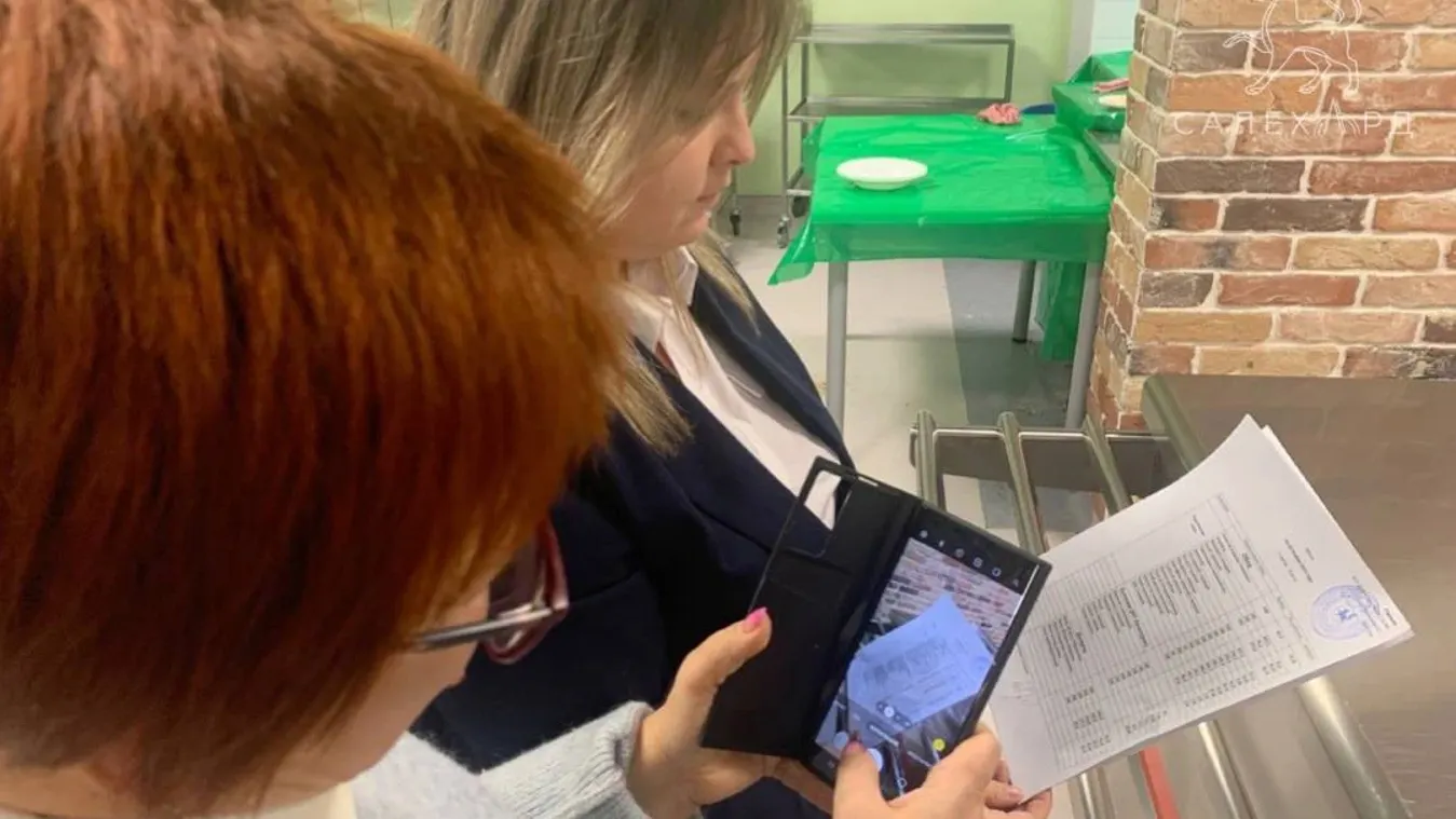 В салехардской школе общественники искали следы вандалов. Фото: t.me/salekhard_admin
