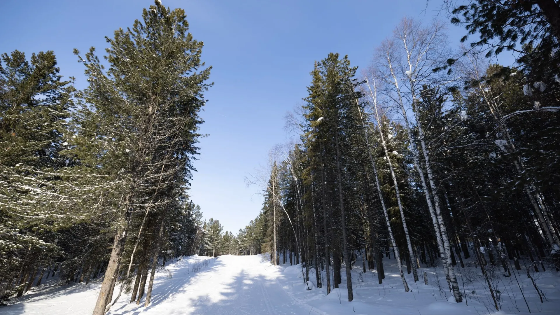 Специальный сервис подскажет, как работает зимник. Фото: Сергей Зубков / «Ямал-Медиа»