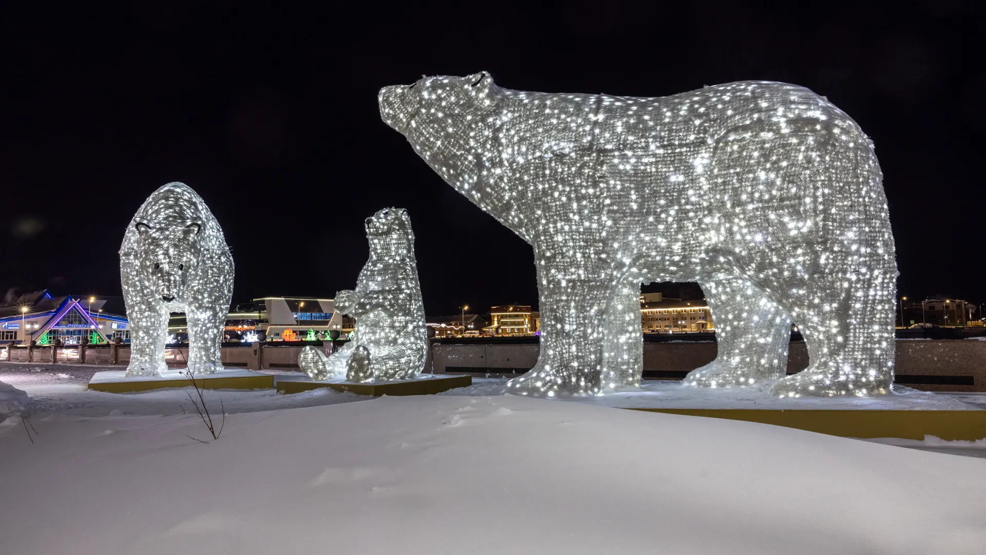 Фото: Федор Воронов / «Ямал-Медиа»