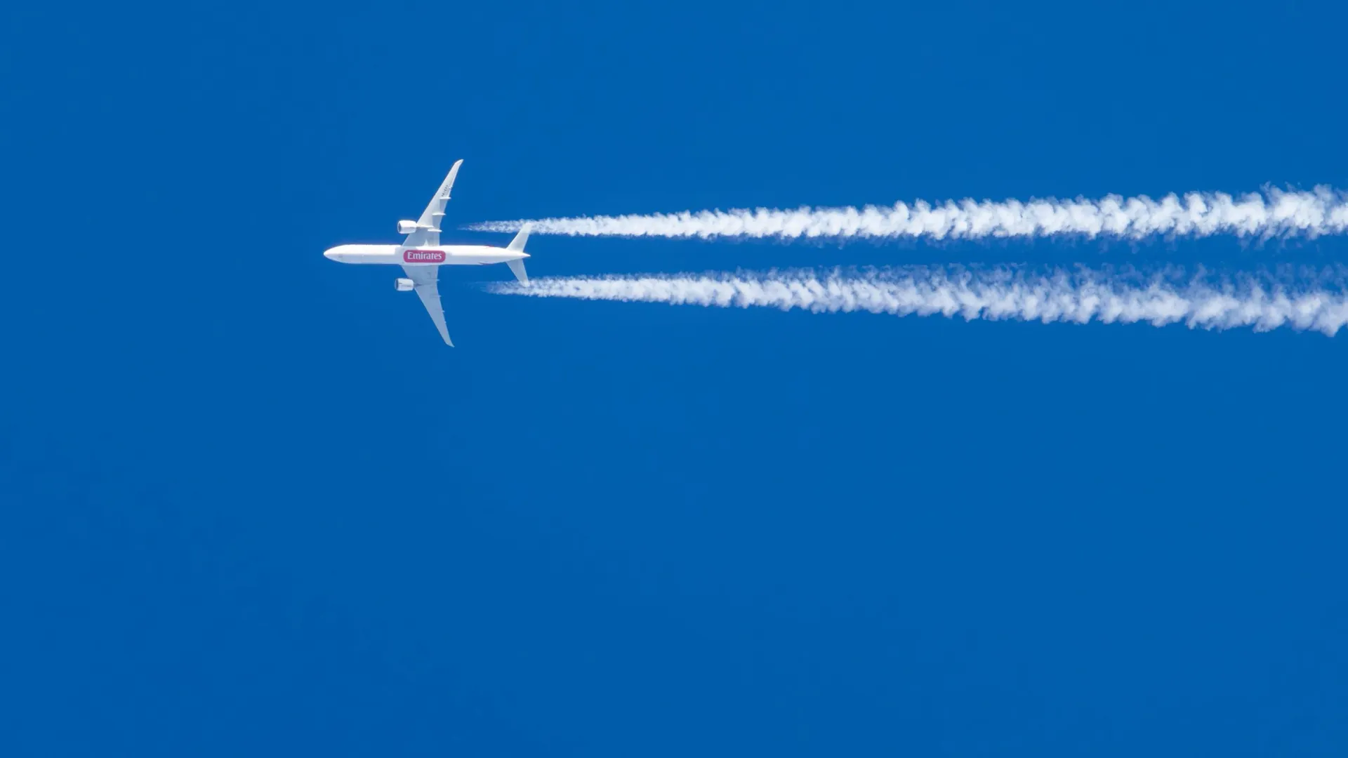 Фото: Федор Воронов / «Ямал-Медиа»