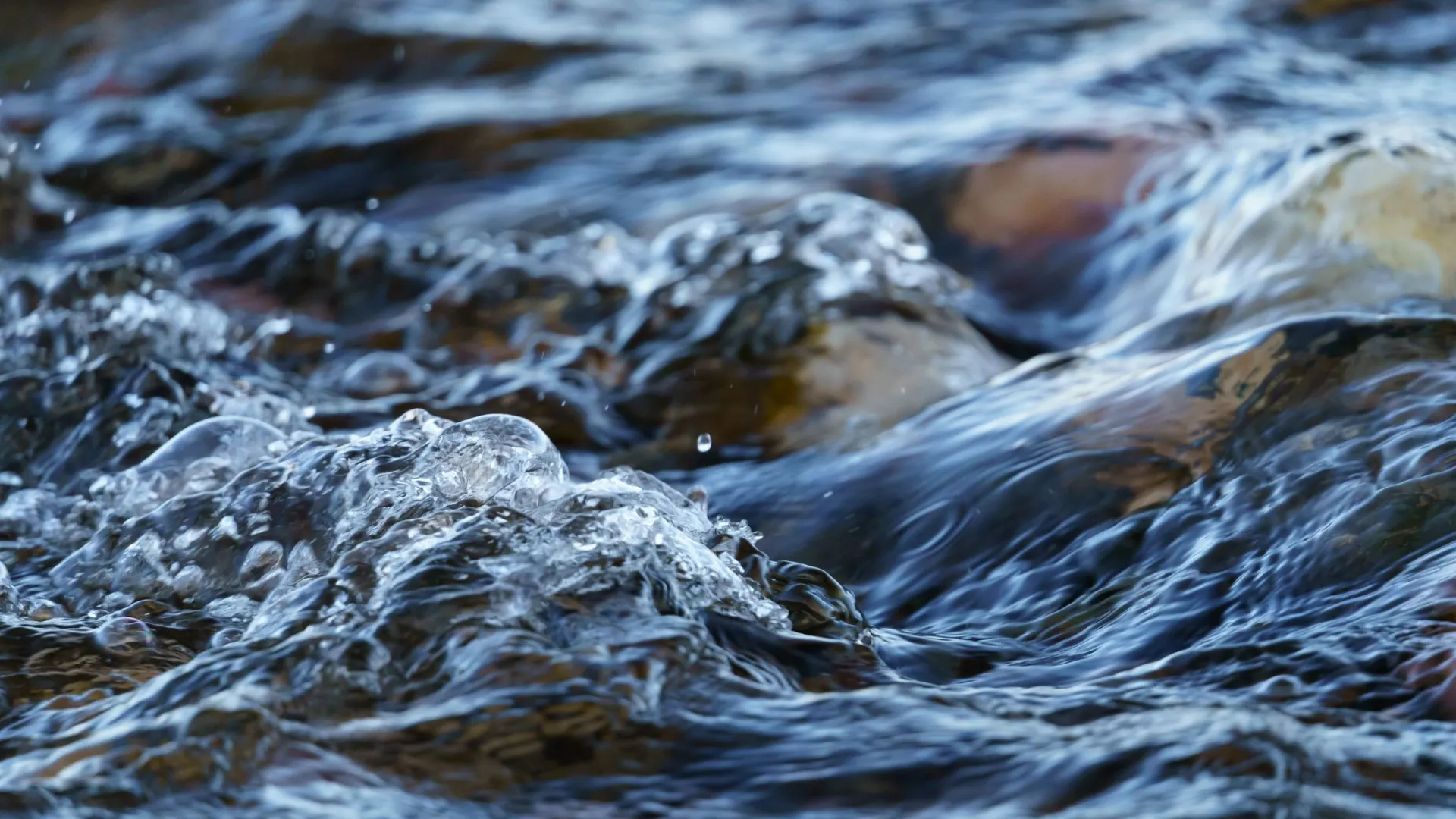 Фото: Ryan Nubel / Shutterstock / Fotodom