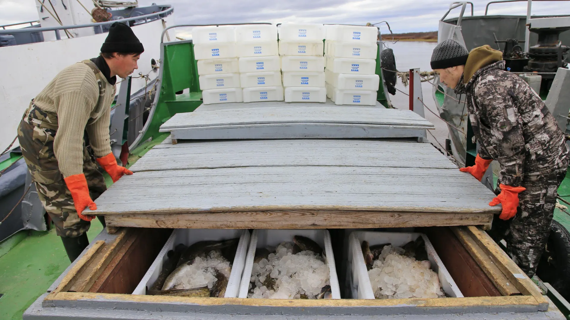 Фото: Андрей Ткачев / «Ямал-Медиа»