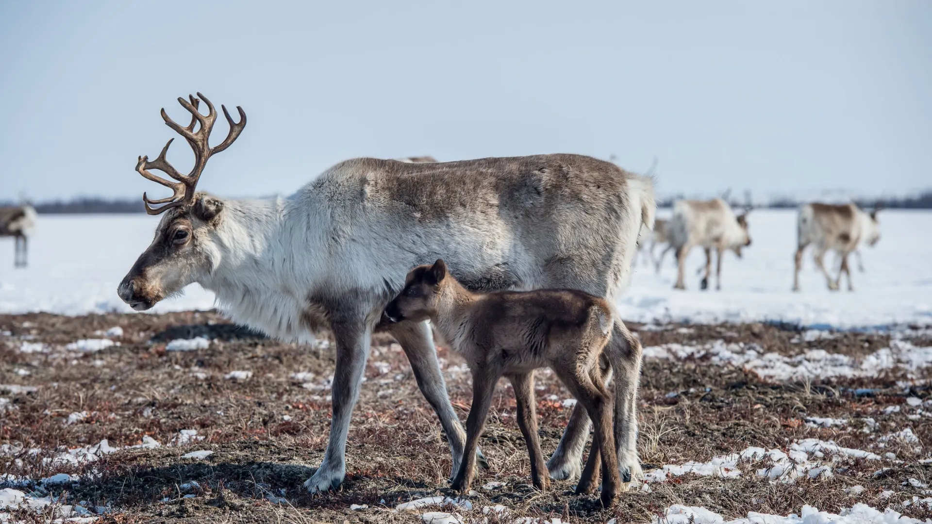 Фото: den-sau-pin/Shutterstock/Fotodom