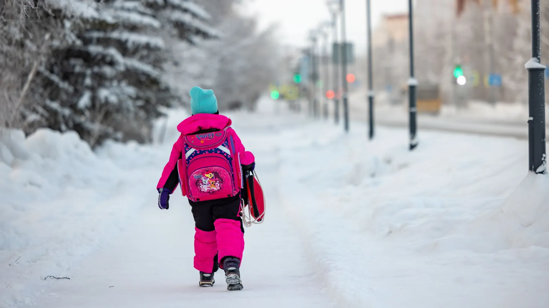 Фото: Сергей Зубков / «Ямал-Медиа»