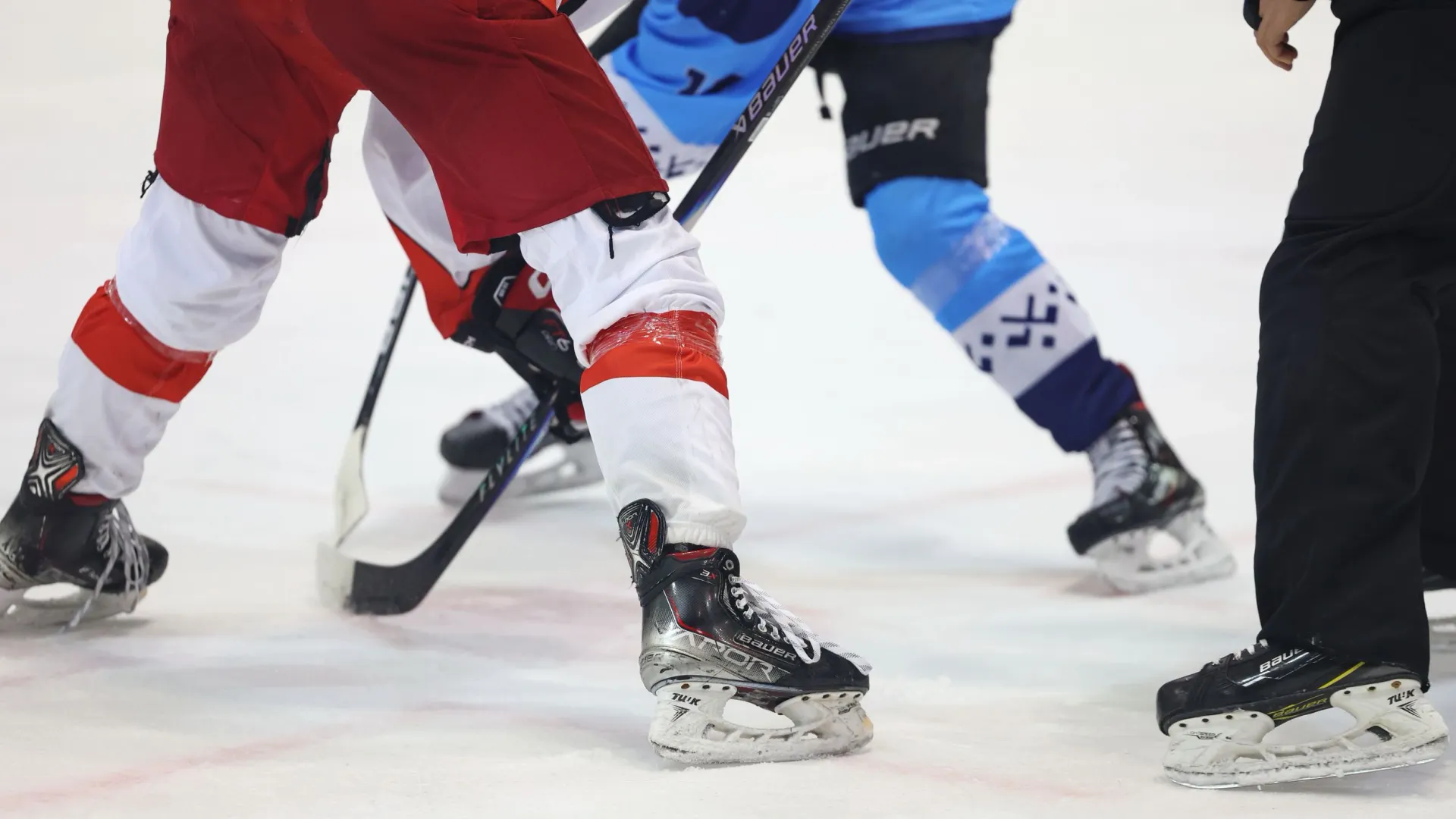 Фото: Андрей Ткачев / «Ямал-Медиа»