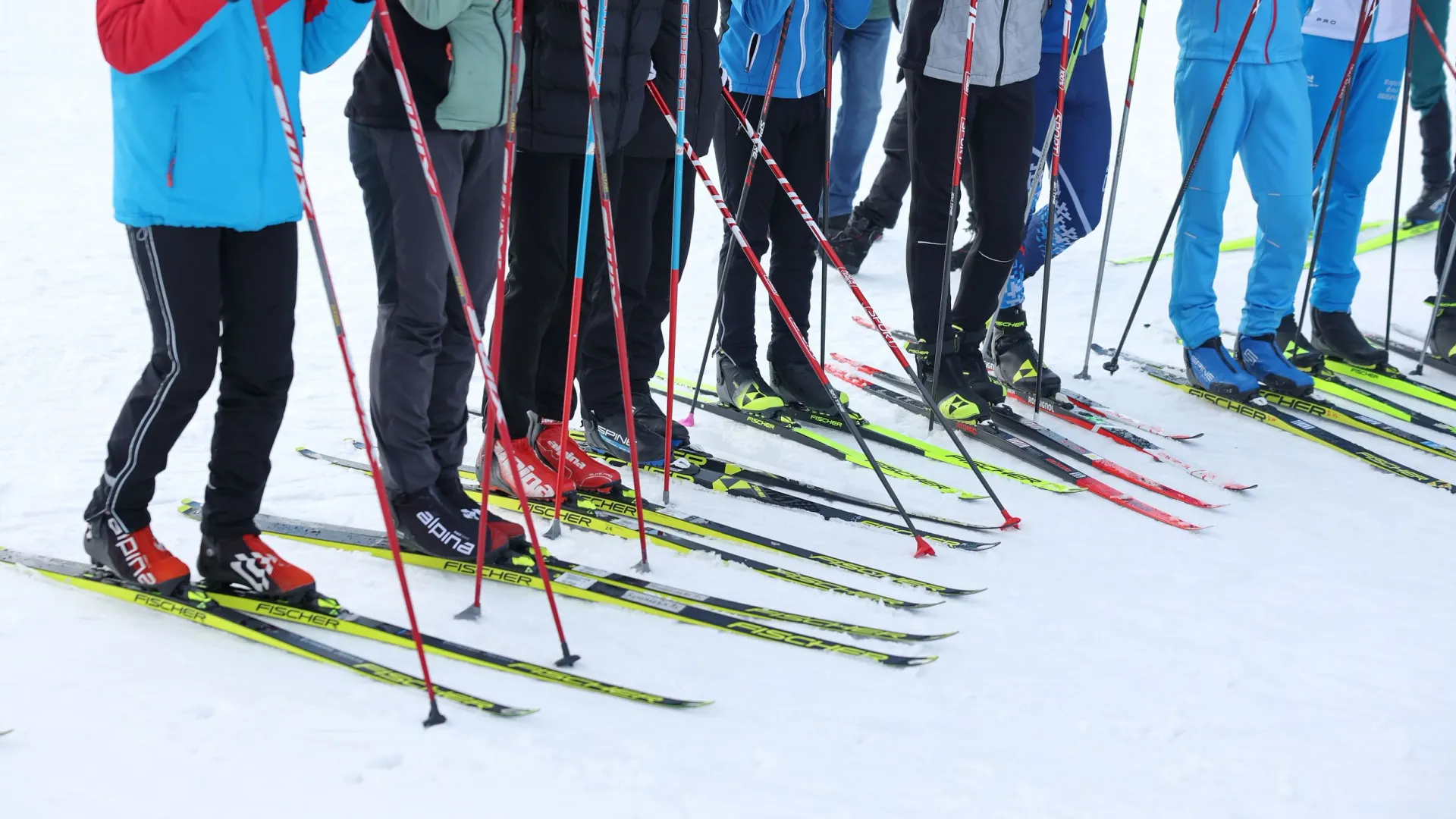 Фото: Андрей Ткачев / «Ямал-Медиа»