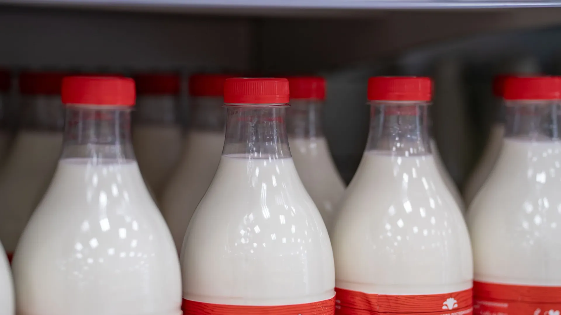 Фото: Сергей Зубков / «Ямал-Медиа»