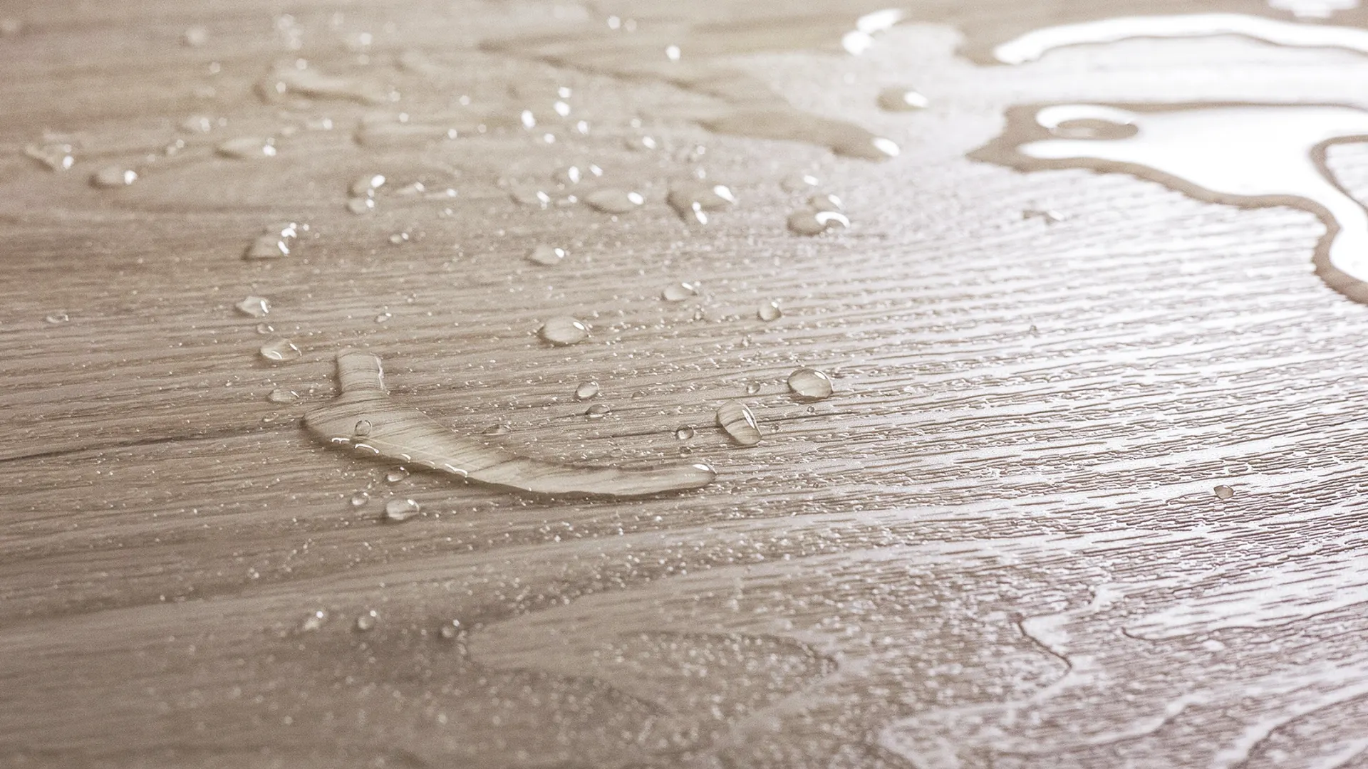 Фото: Irina Desimple / Shutterstock / Fotodom