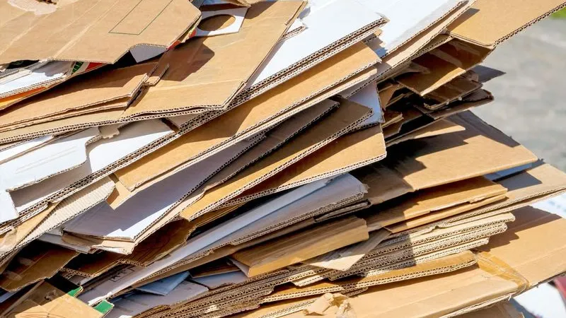 Фото: Lisa-S / Shutterstock / Fotodom