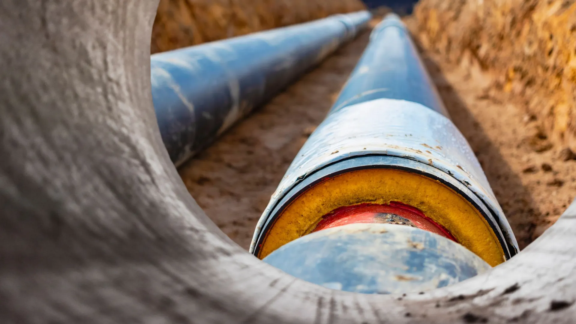 Фото: Another77/Shutterstock/Fotodom