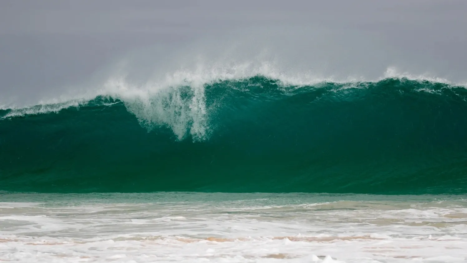 Фото: Peter van Dam / Shutterstock / Fotodom