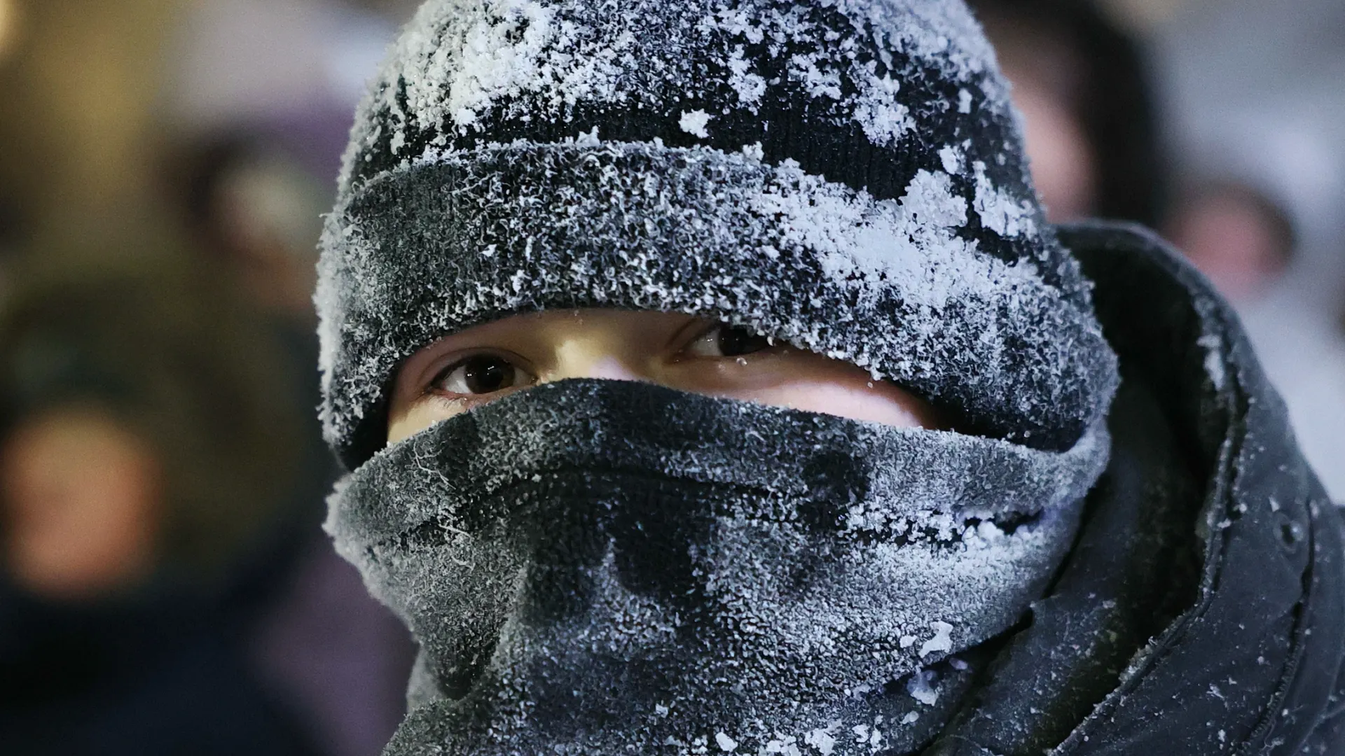 Фото: Андрей Ткачев / «Ямал-Медиа»