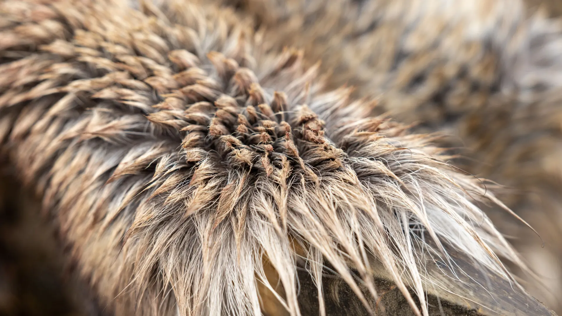 Фото: Федор Воронов / «Ямал-Медиа»