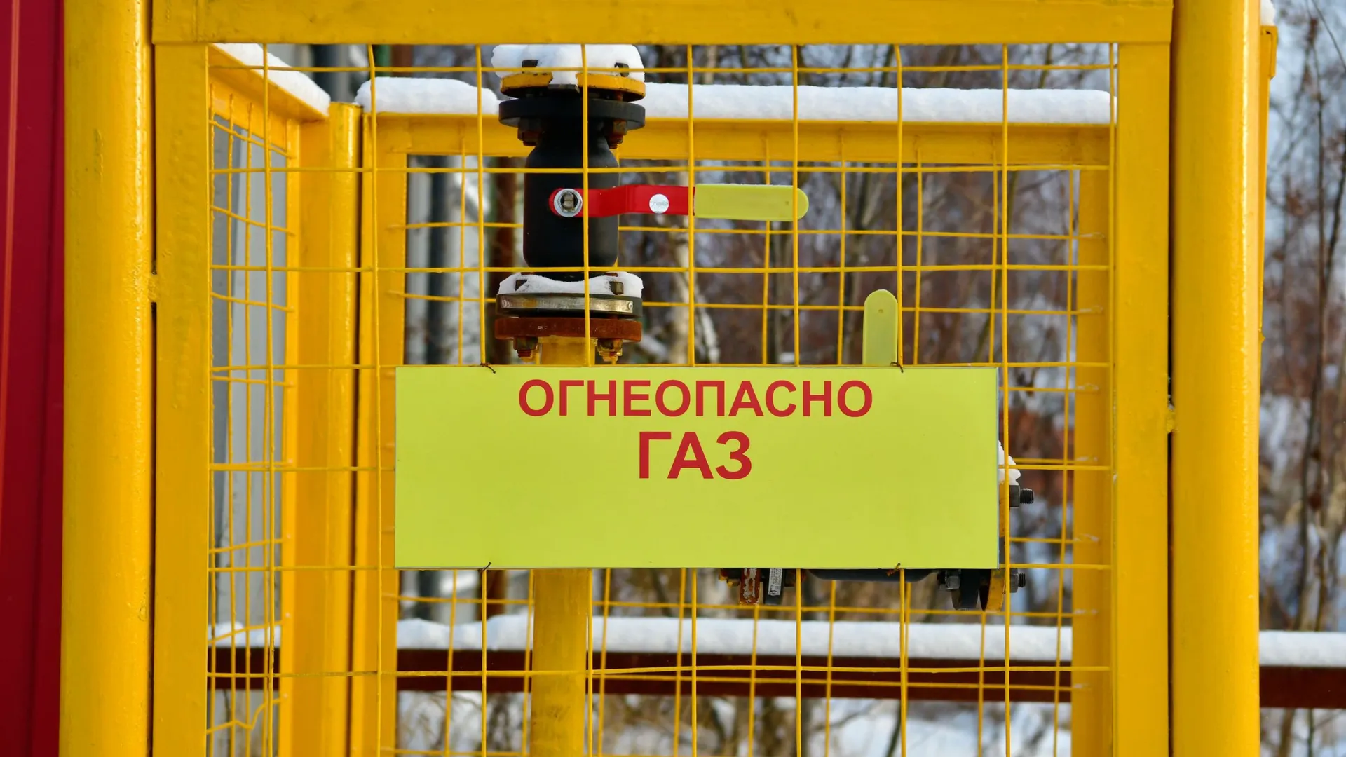 Фото: Андрей Ткачев / «Ямал-Медиа»