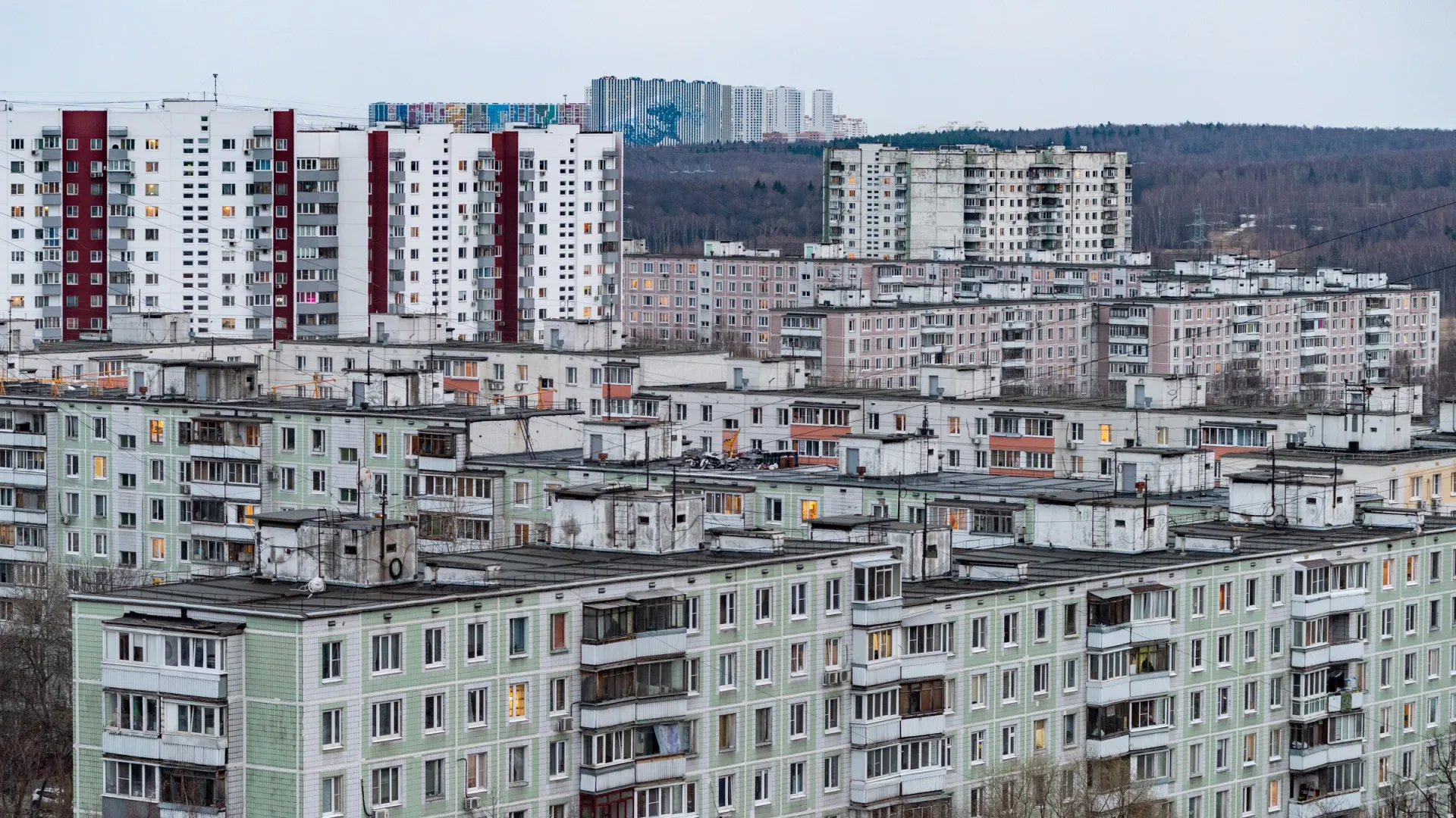 Фото: fifg/Shutterstock/Fotodom
