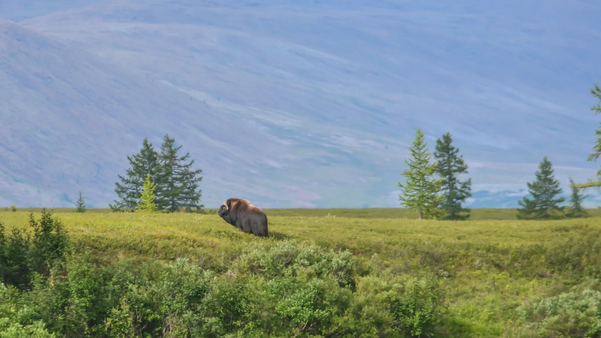Фото: Sergei Drozd/ Shutterstock / Fotodom