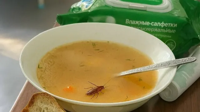 Фото: «Подслушано в Тарко-Сале» / vk.com/gorod_tarkosale