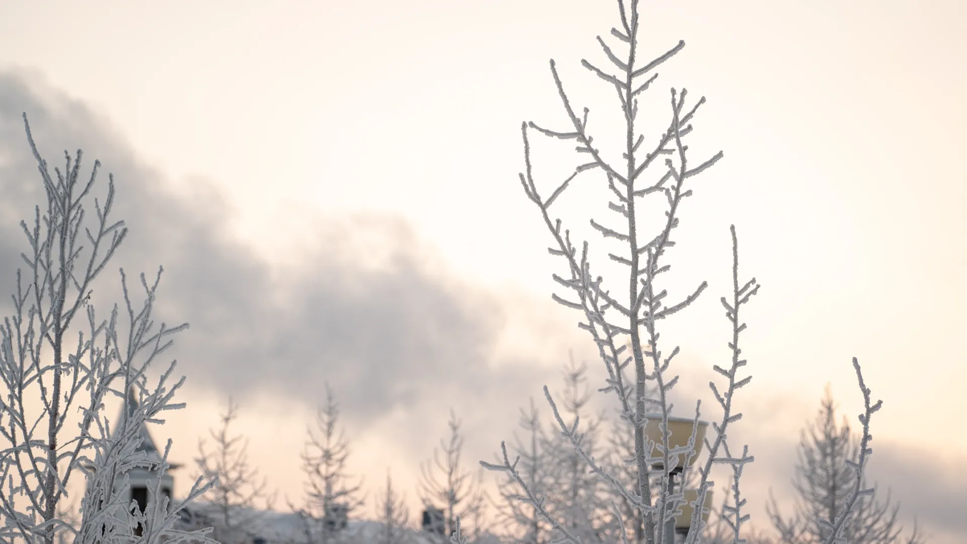 Фото: Сергей Зубков / «Ямал-Медиа»