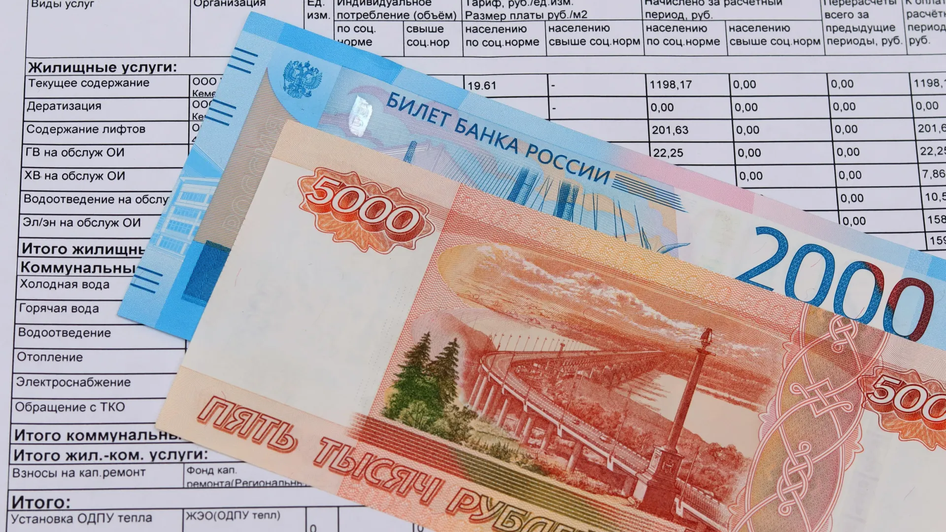 Фото: TsibaevAlex/Shutterstock/Fotodom