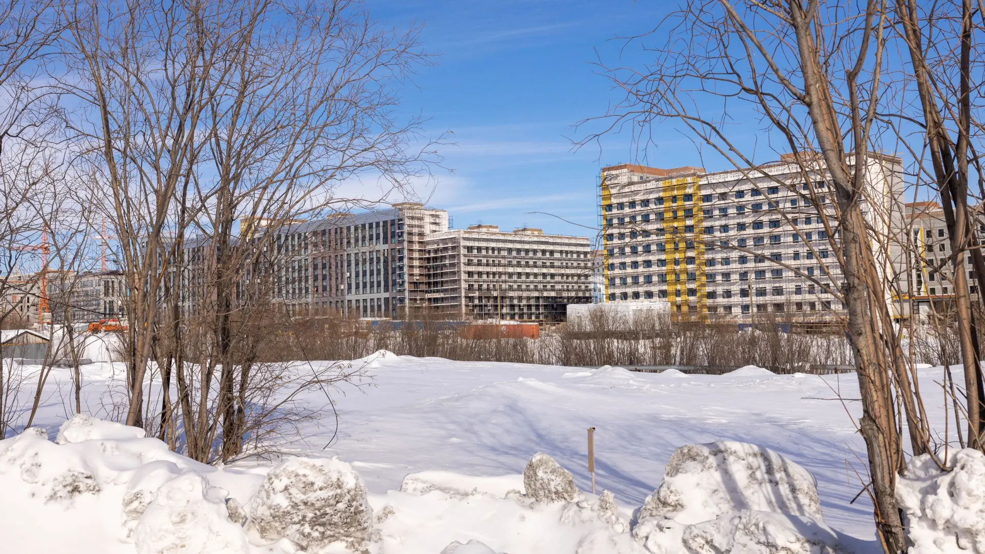 Фото: Федор Воронов / «Ямал-Медиа»