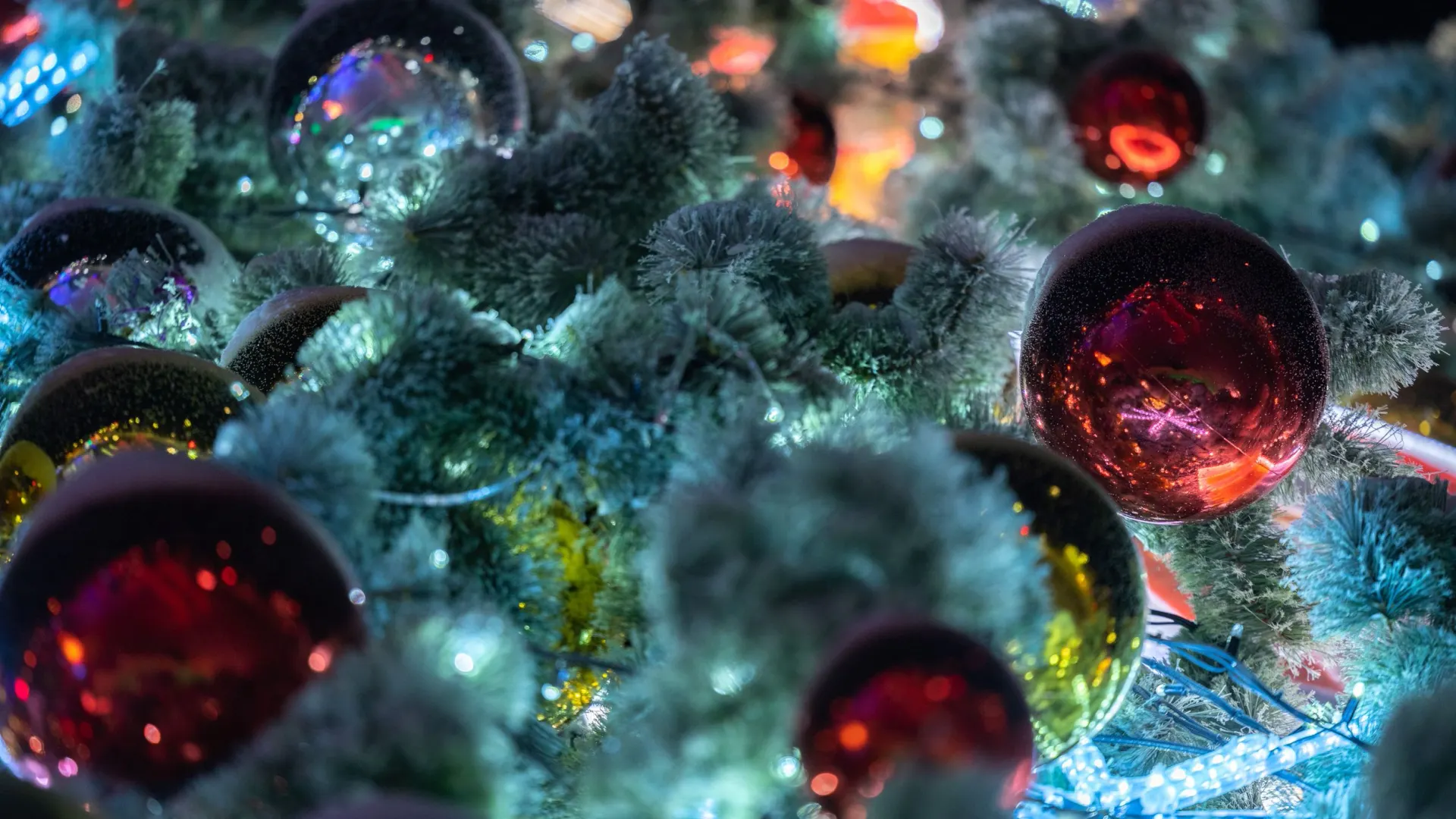 Фото: Федор Воронов / «Ямал-Медиа»