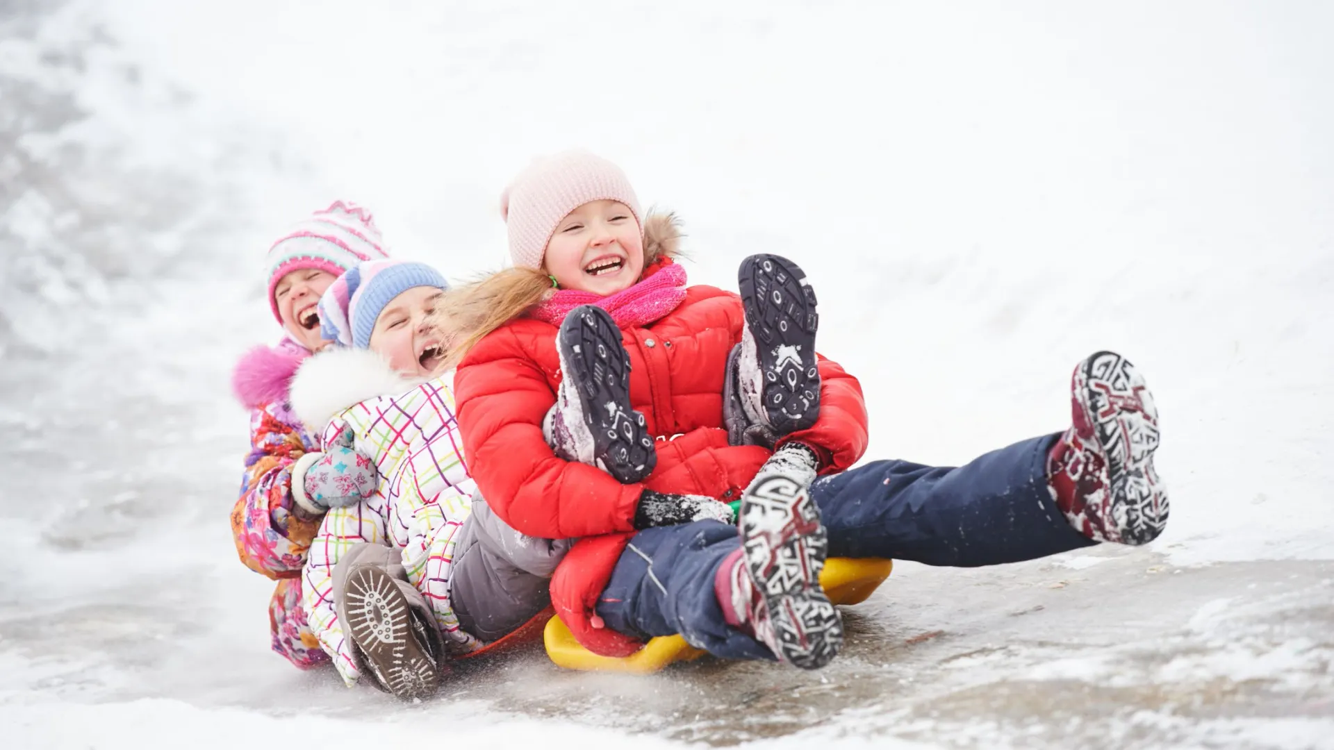 Фото: Dmitry Kalinovsky/Shutterstock/Fotodom